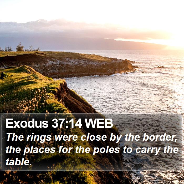 Exodus 37:14 WEB Bible Study