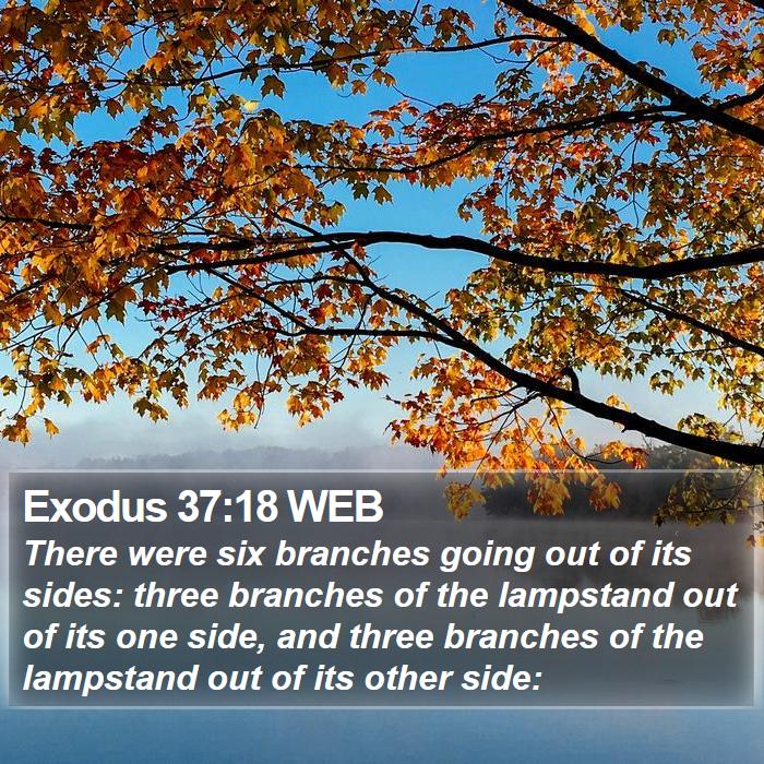 Exodus 37:18 WEB Bible Study