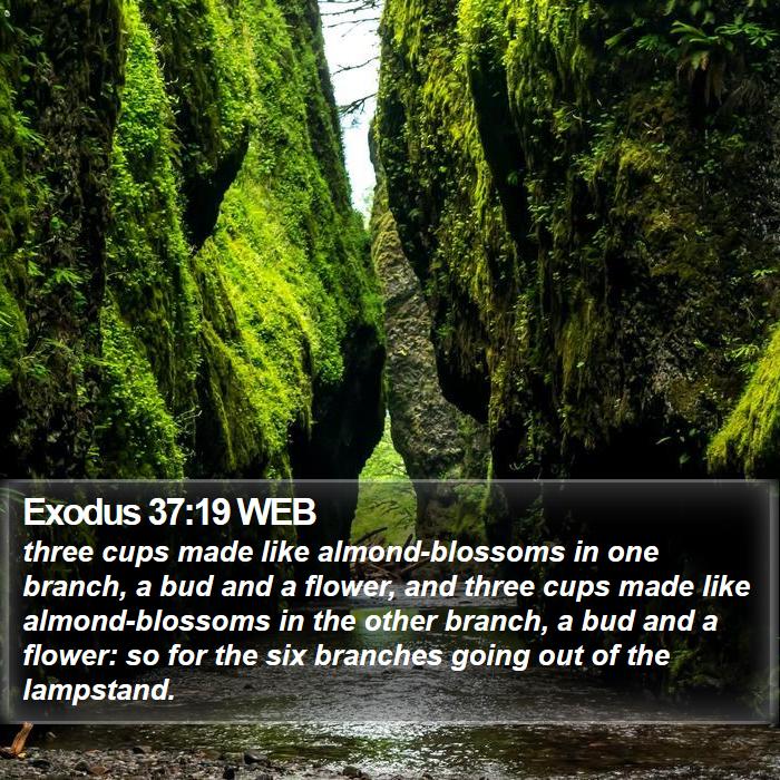 Exodus 37:19 WEB Bible Study