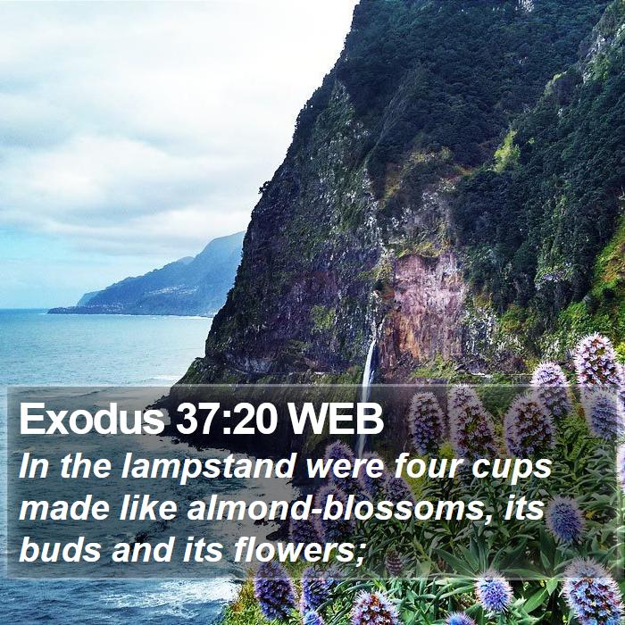 Exodus 37:20 WEB Bible Study