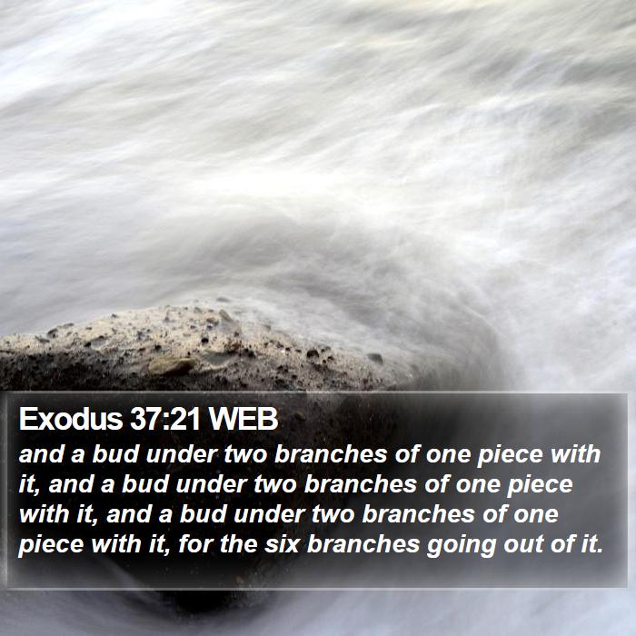 Exodus 37:21 WEB Bible Study