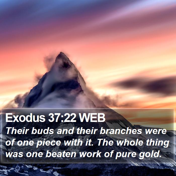 Exodus 37:22 WEB Bible Study