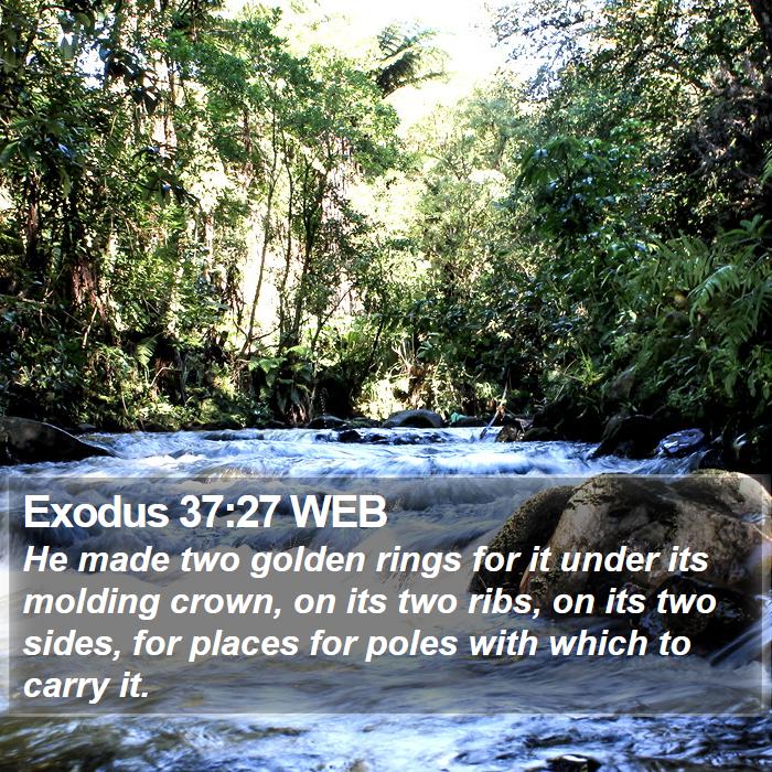 Exodus 37:27 WEB Bible Study