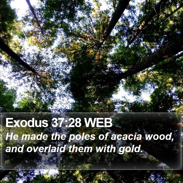 Exodus 37:28 WEB Bible Study