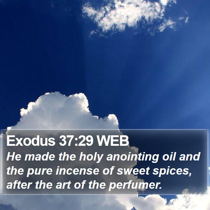 Exodus 37:29 WEB Bible Study