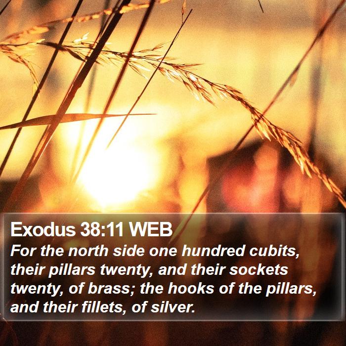 Exodus 38:11 WEB Bible Study