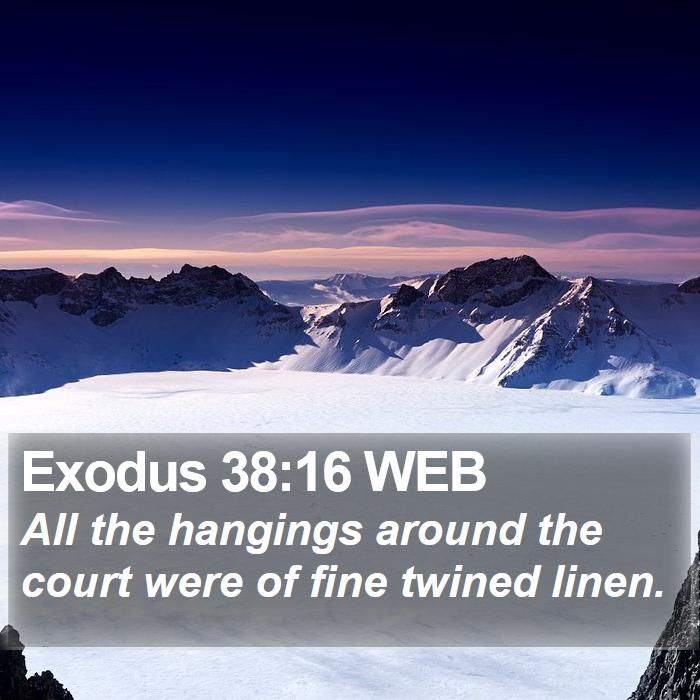 Exodus 38:16 WEB Bible Study