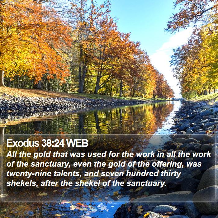 Exodus 38:24 WEB Bible Study