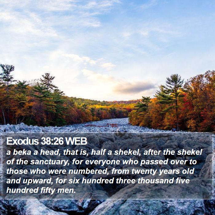 Exodus 38:26 WEB Bible Study