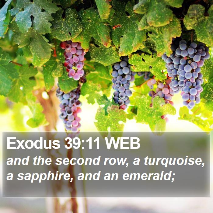 Exodus 39:11 WEB Bible Study