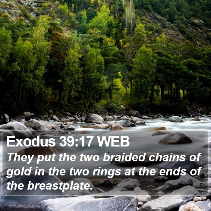 Exodus 39:17 WEB Bible Study