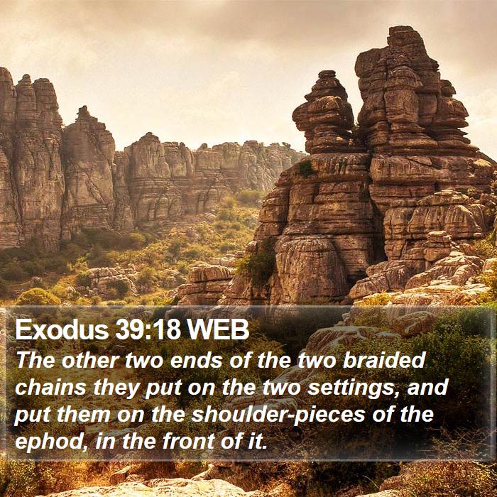 Exodus 39:18 WEB Bible Study