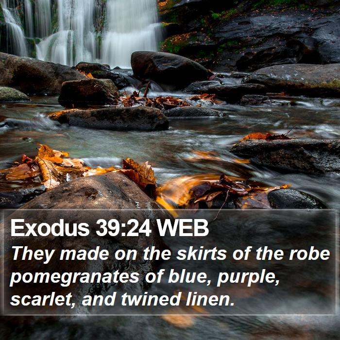 Exodus 39:24 WEB Bible Study