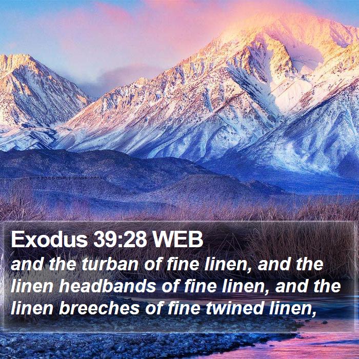 Exodus 39:28 WEB Bible Study