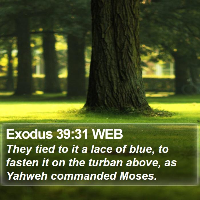 Exodus 39:31 WEB Bible Study