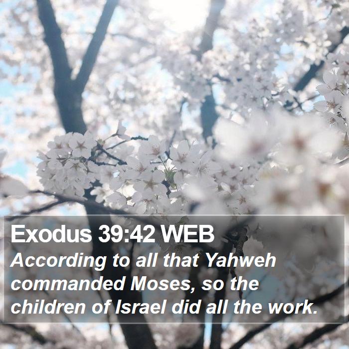 Exodus 39:42 WEB Bible Study