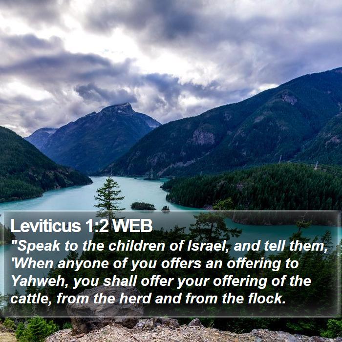 Leviticus 1:2 WEB Bible Study