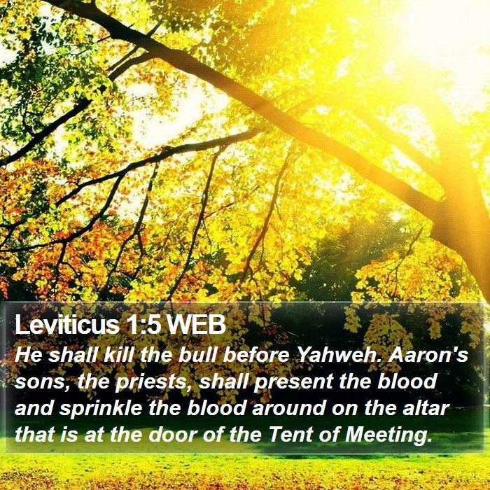 Leviticus 1:5 WEB Bible Study