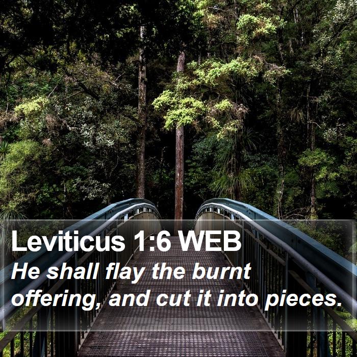 Leviticus 1:6 WEB Bible Study