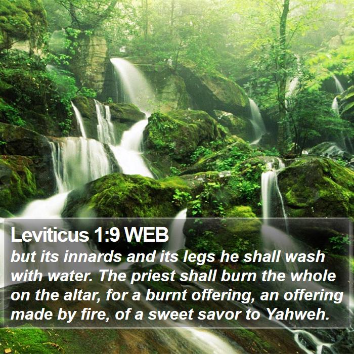 Leviticus 1:9 WEB Bible Study