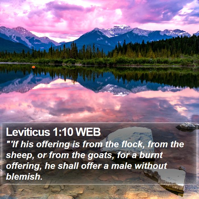 Leviticus 1:10 WEB Bible Study