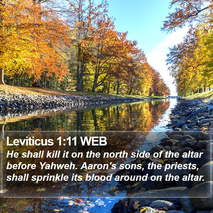 Leviticus 1:11 WEB Bible Study