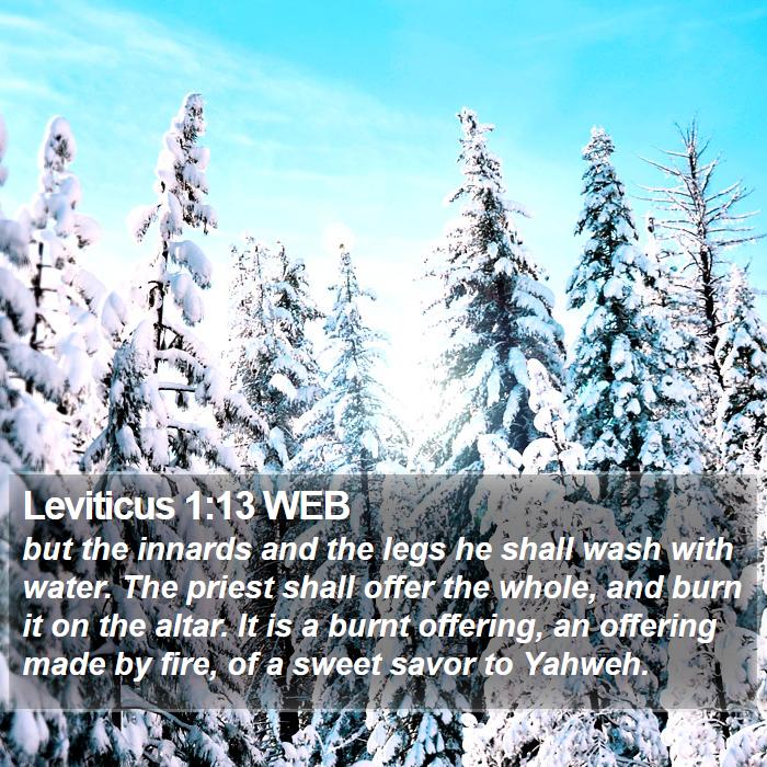 Leviticus 1:13 WEB Bible Study