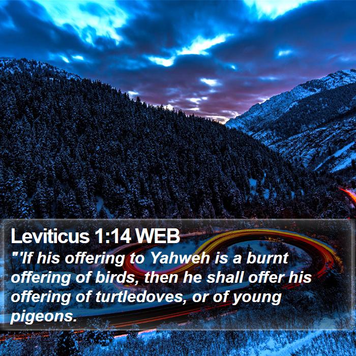 Leviticus 1:14 WEB Bible Study