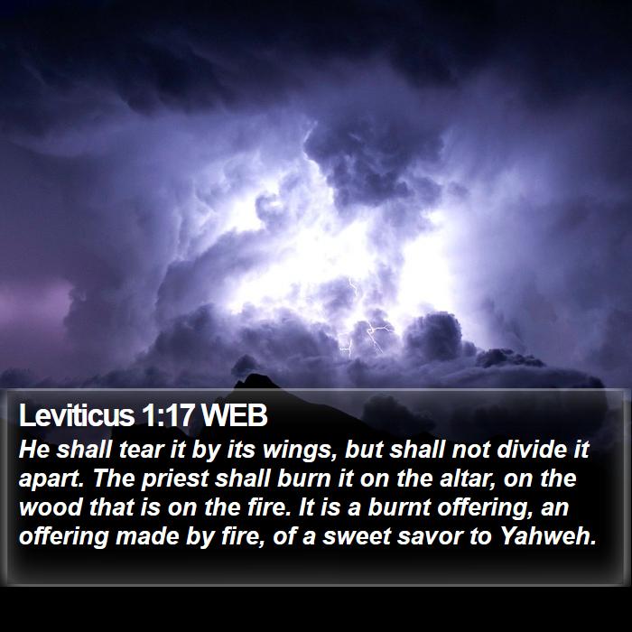 Leviticus 1:17 WEB Bible Study