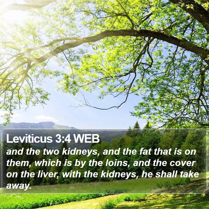 Leviticus 3:4 WEB Bible Study