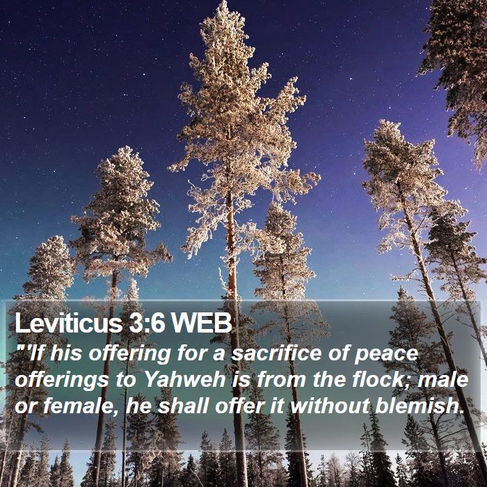 Leviticus 3:6 WEB Bible Study