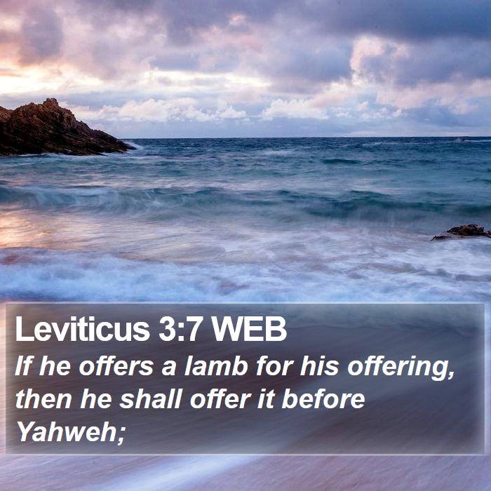 Leviticus 3:7 WEB Bible Study