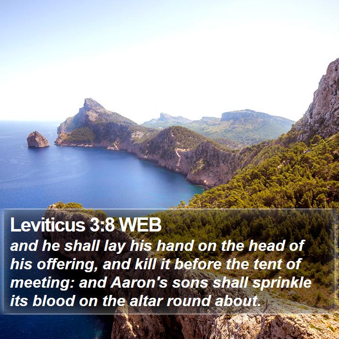 Leviticus 3:8 WEB Bible Study