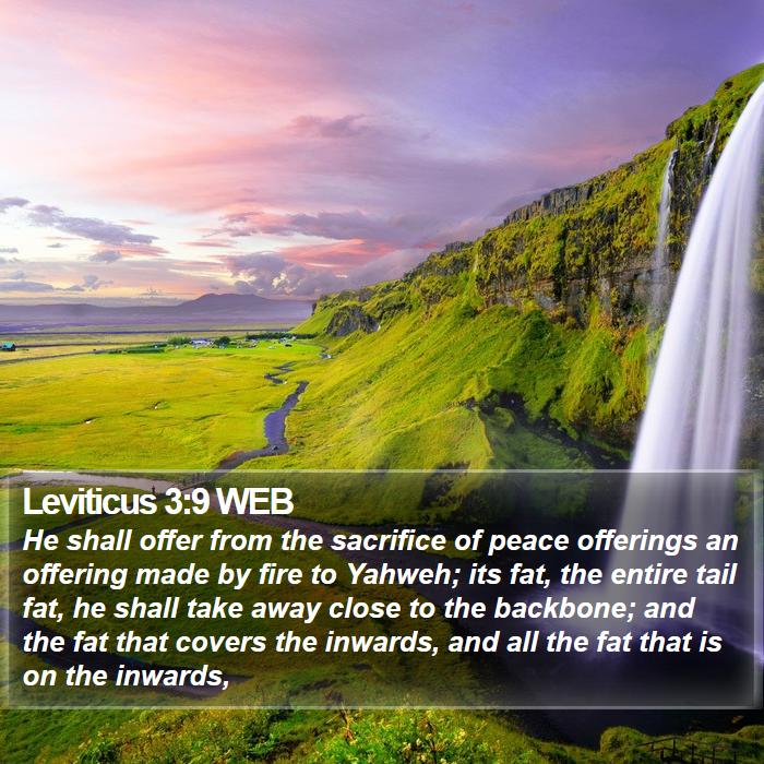 Leviticus 3:9 WEB Bible Study