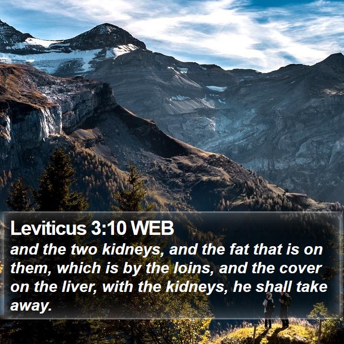 Leviticus 3:10 WEB Bible Study