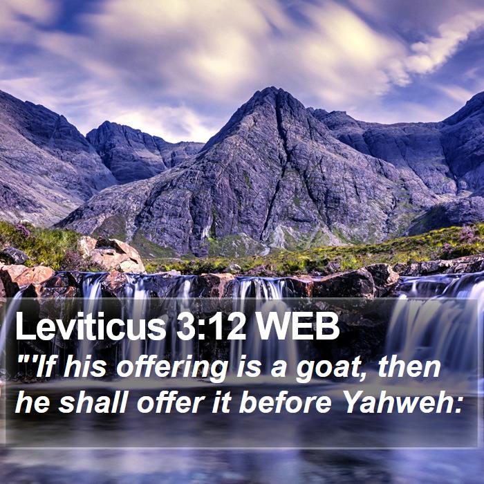 Leviticus 3:12 WEB Bible Study