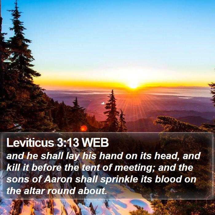 Leviticus 3:13 WEB Bible Study