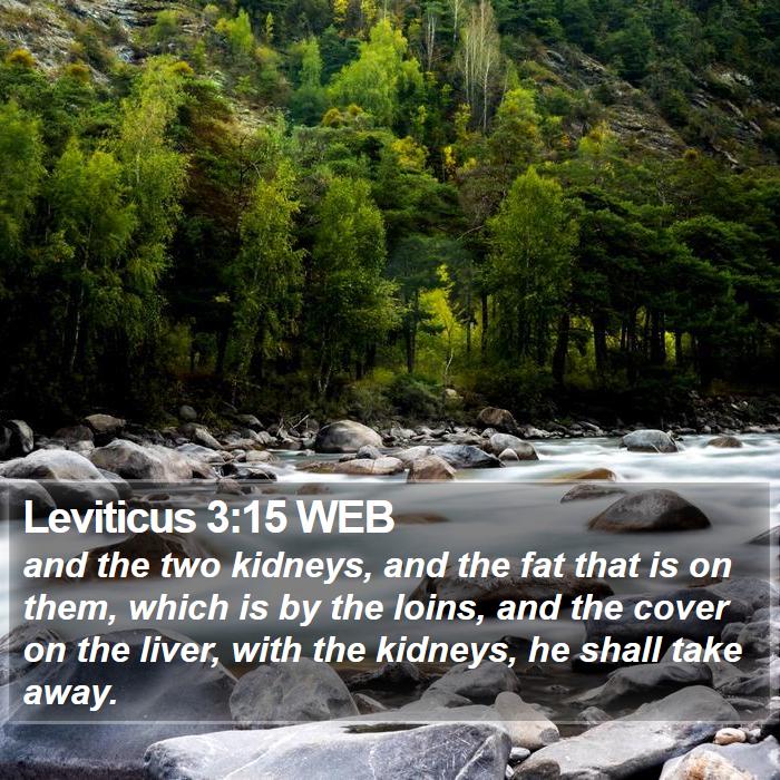 Leviticus 3:15 WEB Bible Study