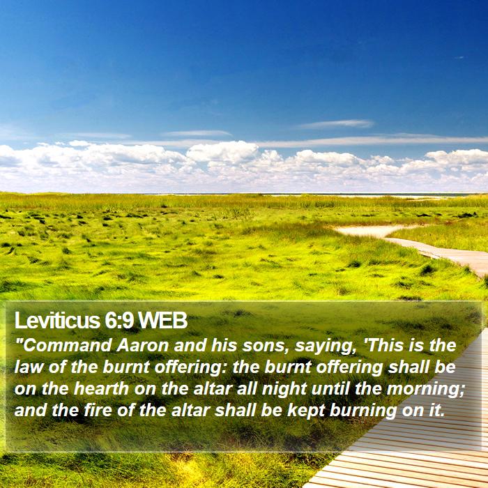 Leviticus 6:9 WEB Bible Study