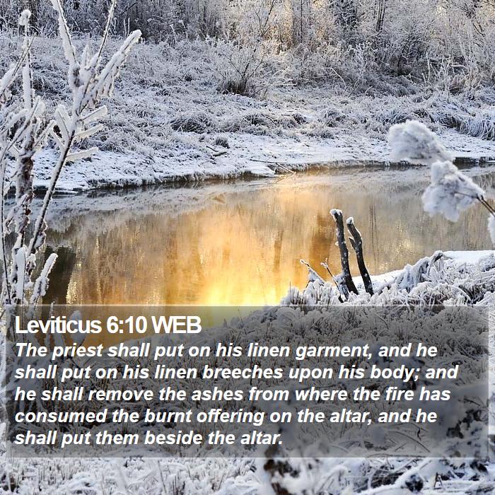 Leviticus 6:10 WEB Bible Study