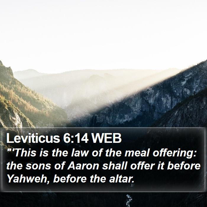 Leviticus 6:14 WEB Bible Study