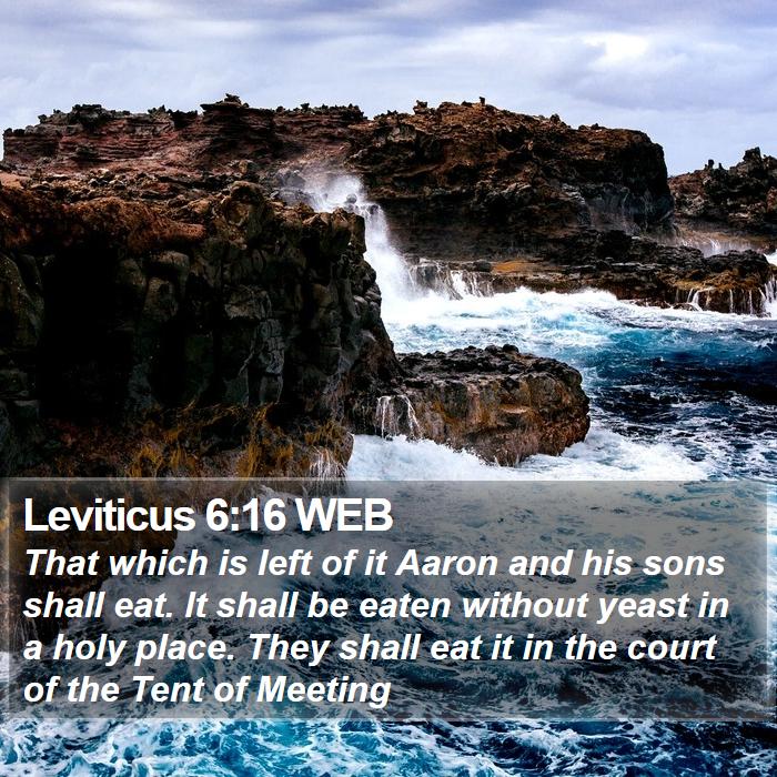 Leviticus 6:16 WEB Bible Study