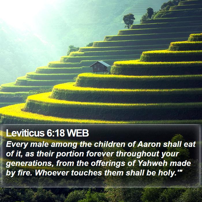 Leviticus 6:18 WEB Bible Study