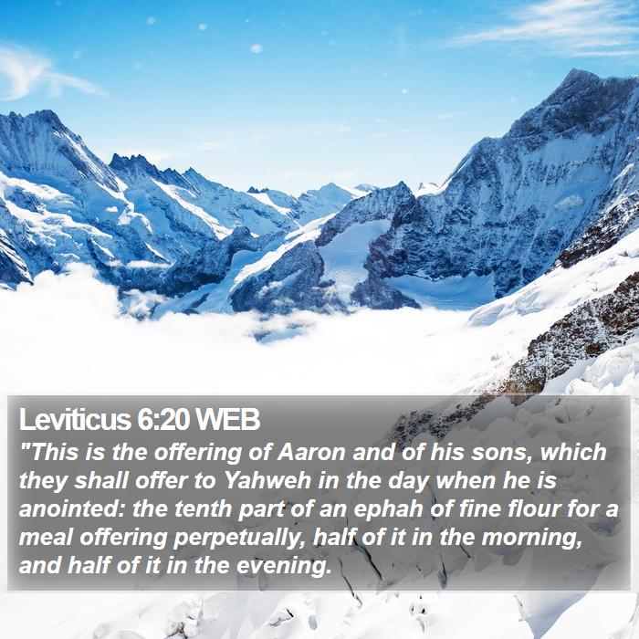 Leviticus 6:20 WEB Bible Study