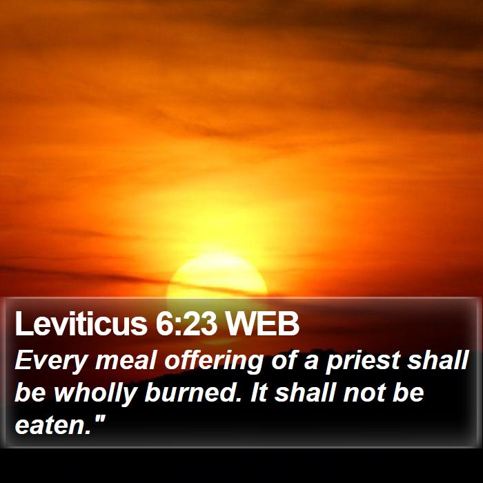 Leviticus 6:23 WEB Bible Study