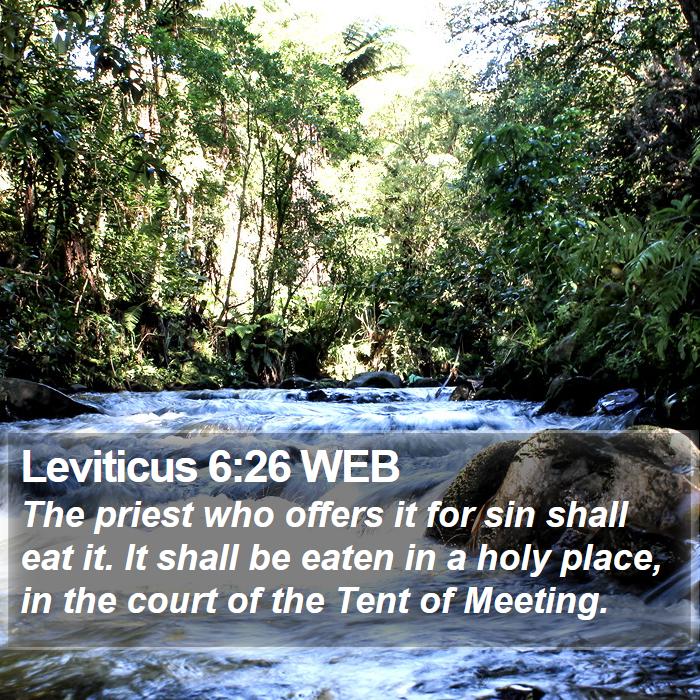 Leviticus 6:26 WEB Bible Study