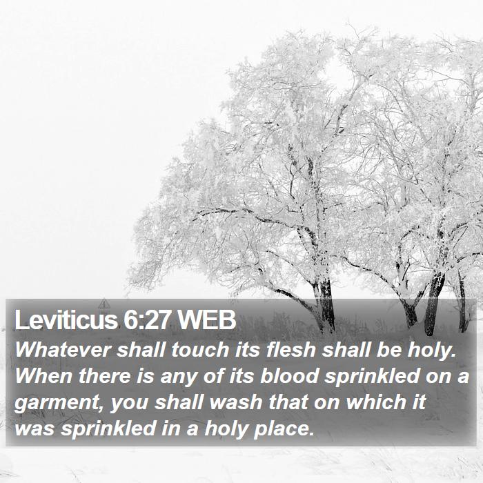 Leviticus 6:27 WEB Bible Study