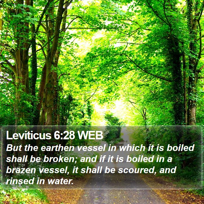 Leviticus 6:28 WEB Bible Study