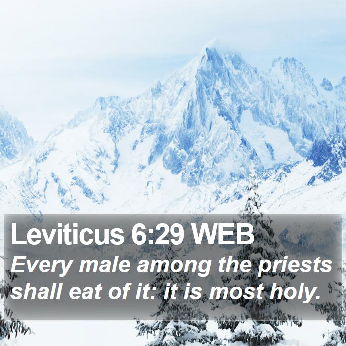 Leviticus 6:29 WEB Bible Study