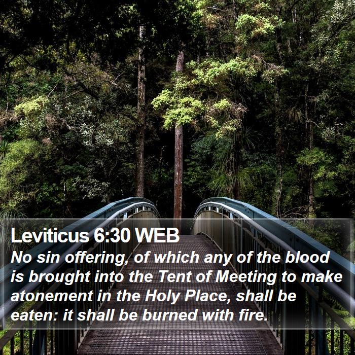 Leviticus 6:30 WEB Bible Study